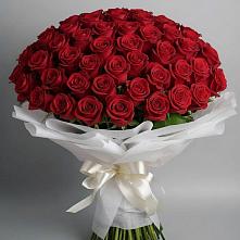 Букет 101 Красная роза Блэк Мэджик в Псотино