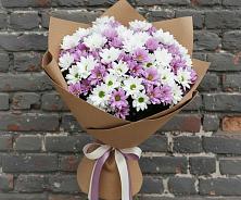 Букет цветов из:  Хризантемы #REPLACE_PRED# Псотино