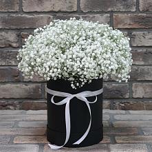 Цветочная композиция из Гипсофила в шляпной коробке #REPLACE_PRED# Псотино
