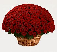 Премиум букет из: Розы #REPLACE_PRED# Псотино